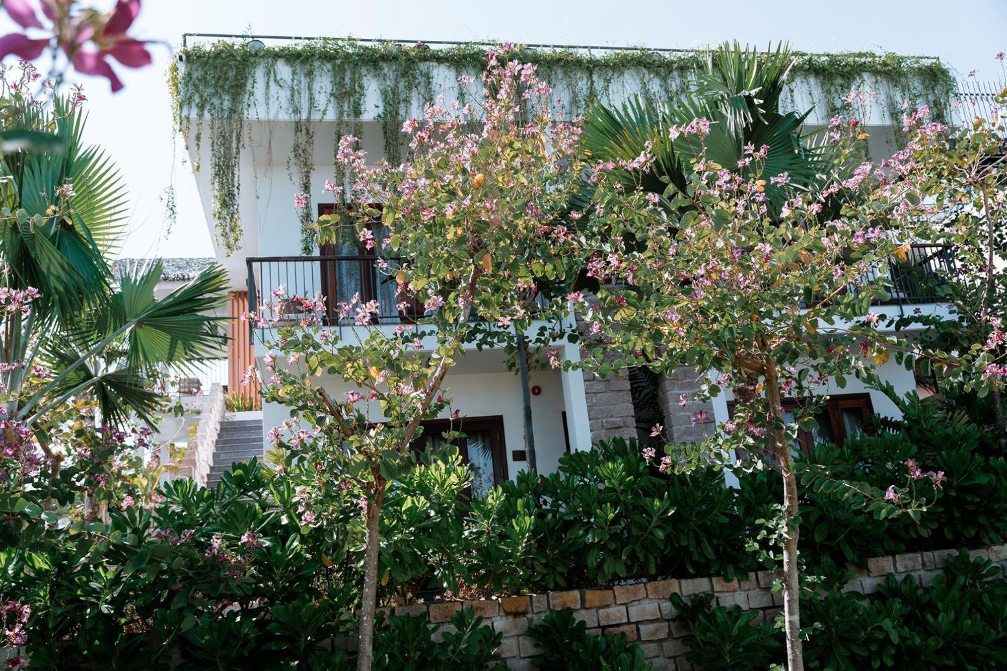 Pandora Sand Hill Mui Ne Resort Exterior photo